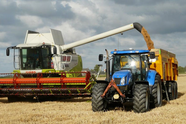 Bioenergy and feedstock partnerships for fuels